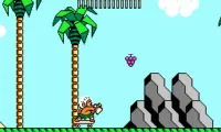 Hudson’s Adventure Island III (USA)