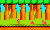 Hudson’s Adventure Island (USA)