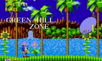 I Hog That Hate Hedge