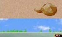 I Love Dolphin (Japan)