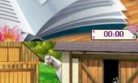 I Love Horses (USA)