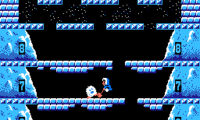 Ice Climber (Japan) (Disk Writer)