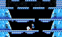 Ice Climber (Japan) (Disk Writer)