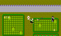 Ikki (Japan)