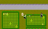Ikki (Japan)