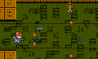 Insector X (Japan)
