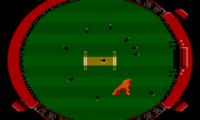 International Cricket (Australia) (Beta)