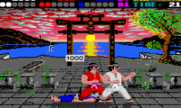 International Karate Plus (E)(Venom)