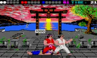 International Karate Plus (E)(Venom)
