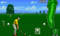 Irem Skins Game, The (USA)