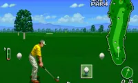 Irem Skins Game, The (USA)