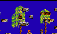 Jajamaru no Daibouken (Japan)