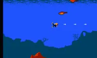 Jaws (USA)