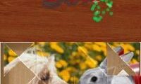Jigapix – Pets (Europe) (En,Fr,De,Es,It,Nl) (NDSi Enhanced)