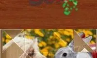 Jigapix – Pets (Europe) (En,Fr,De,Es,It,Nl) (NDSi Enhanced)