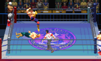 Jikkyou Power Pro Wrestling ’96 – Max Voltage (Japan)