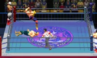 Jikkyou Power Pro Wrestling ‘96 – Max Voltage (Japan)