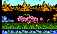 Joe & Mac – Caveman Ninja (Europe)