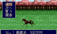 Jumpin’ Derby (Japan)