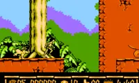 Jungle Book, The (USA)