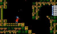 Junkoid