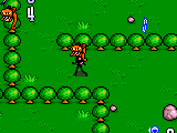 Kaitou Saint Tale (Japan)