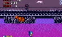 Kaizo Sonic The Hedgehog – The RAGE game