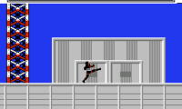 Kamen Rider Black – Taiketsu Shadow Moon (Japan)
