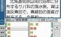 Kanji Sonomama – DS Rakubiki Jiten (Japan)