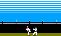 Karateka (Japan)