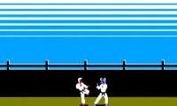Karateka (Japan)