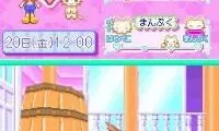 Kawaii Koneko DS (Japan)