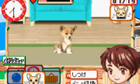 Kawaii Pet Game Gallery (J)(Rising Sun)