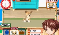 Kawaii Pet Game Gallery (J)(Rising Sun)