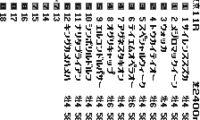 Keiba Yosou Shien Shinkaron (J) [M][!]