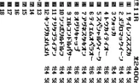 Keiba Yosou Shien Shinkaron (J) [M][!]