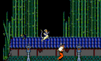 Kenseiden (USA, Europe)
