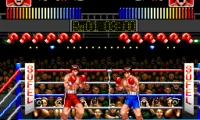 Kentou Ou World Champion (Japan)