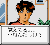 Kindaichi Shounen no Jikenbo – 10nenme no Shoutaijou (Japan)
