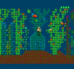 King Neptune’s Adventure (USA) (Unl)