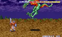 King of Dragons, The (Japan)