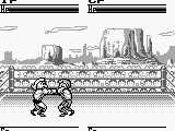 Kinnikuman – The Dream Match (Japan)
