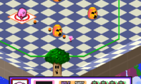 Kirby’s Dream Course (USA)