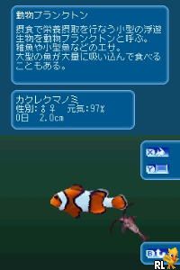 Kiwami Birei Aquarium – Sekai no Sakana to Iruka Kujira-tachi (Japan)