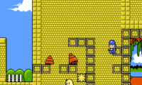 Kiwi Kraze – A Bird-Brained Adventure! (USA)