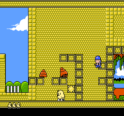 Kiwi Kraze – A Bird-Brained Adventure! (USA)
