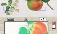 Kokoro o Yasumeru – Otona no Nurie DS (Japan)