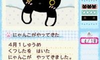 Kutsushita Nyanko – Shiroi Kutsushita o Haita Neko to Kurashi Hajimemashita. (Japan)
