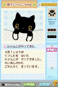 Kutsushita Nyanko – Shiroi Kutsushita o Haita Neko to Kurashi Hajimemashita. (Japan)