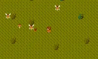 Labyrinth (Japan)